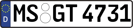 MS-GT4731