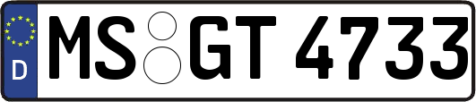 MS-GT4733