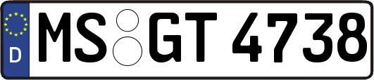 MS-GT4738