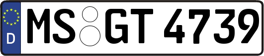 MS-GT4739