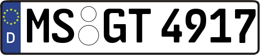 MS-GT4917