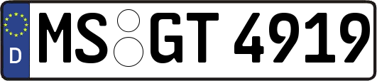 MS-GT4919