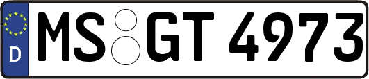 MS-GT4973