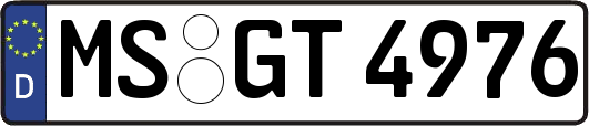 MS-GT4976