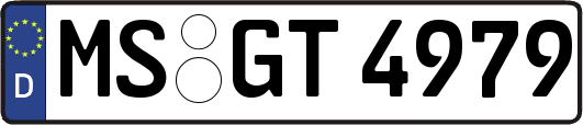 MS-GT4979