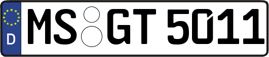 MS-GT5011