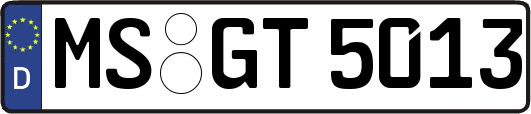 MS-GT5013