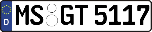 MS-GT5117