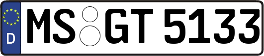 MS-GT5133