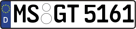 MS-GT5161