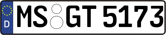 MS-GT5173
