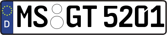 MS-GT5201