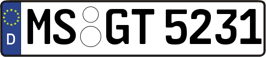 MS-GT5231