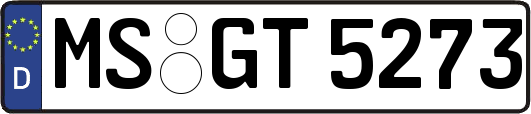 MS-GT5273