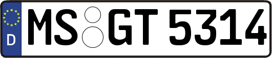 MS-GT5314