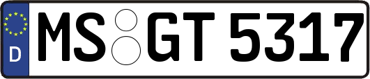 MS-GT5317