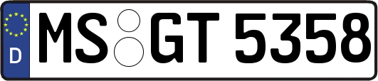 MS-GT5358