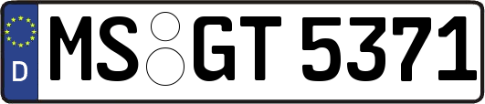MS-GT5371