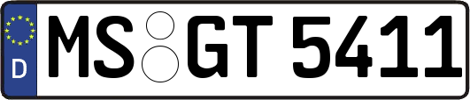MS-GT5411