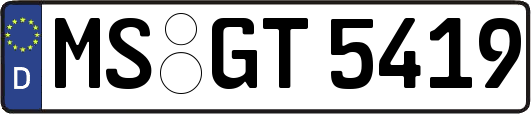 MS-GT5419