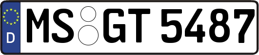 MS-GT5487