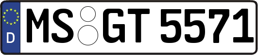 MS-GT5571
