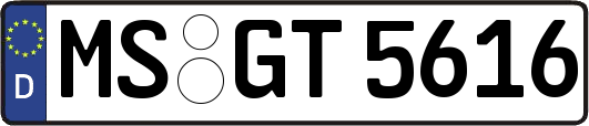 MS-GT5616