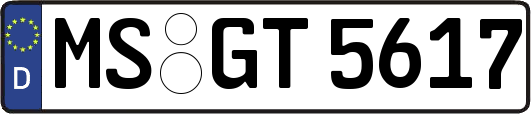 MS-GT5617