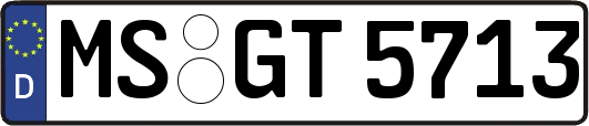MS-GT5713