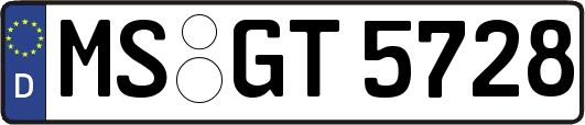 MS-GT5728