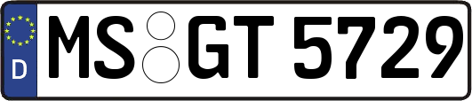 MS-GT5729