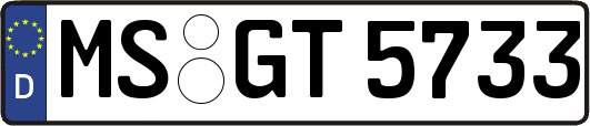 MS-GT5733