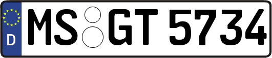MS-GT5734
