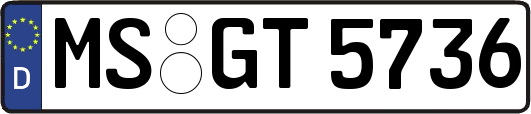 MS-GT5736