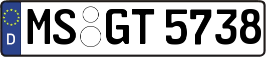 MS-GT5738