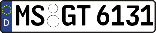 MS-GT6131