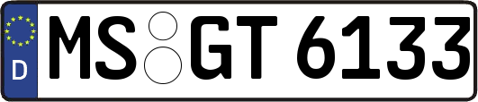 MS-GT6133
