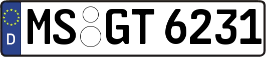 MS-GT6231