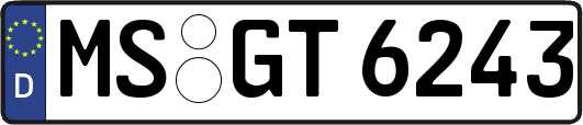 MS-GT6243