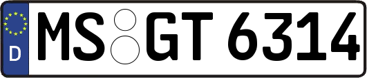 MS-GT6314