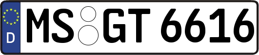 MS-GT6616