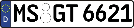 MS-GT6621