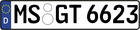 MS-GT6623