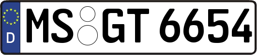 MS-GT6654