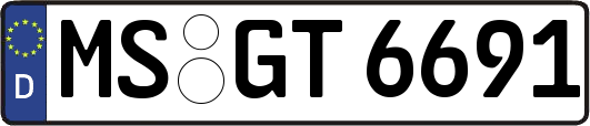 MS-GT6691