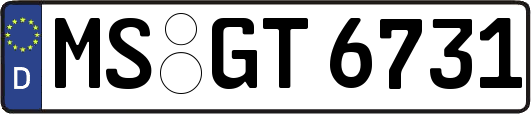 MS-GT6731