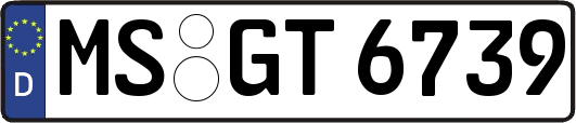 MS-GT6739