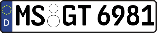 MS-GT6981