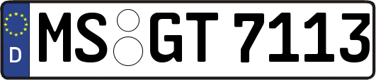 MS-GT7113