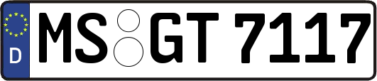 MS-GT7117